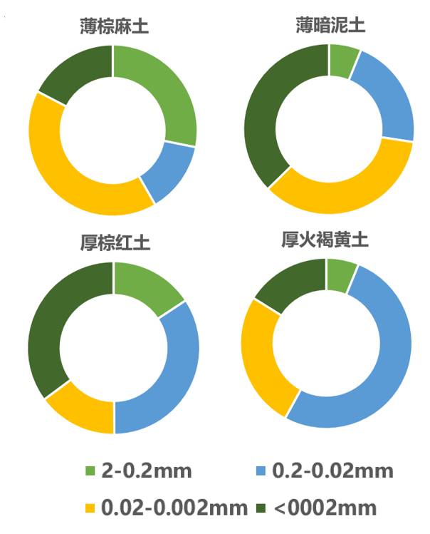 数据缩略图