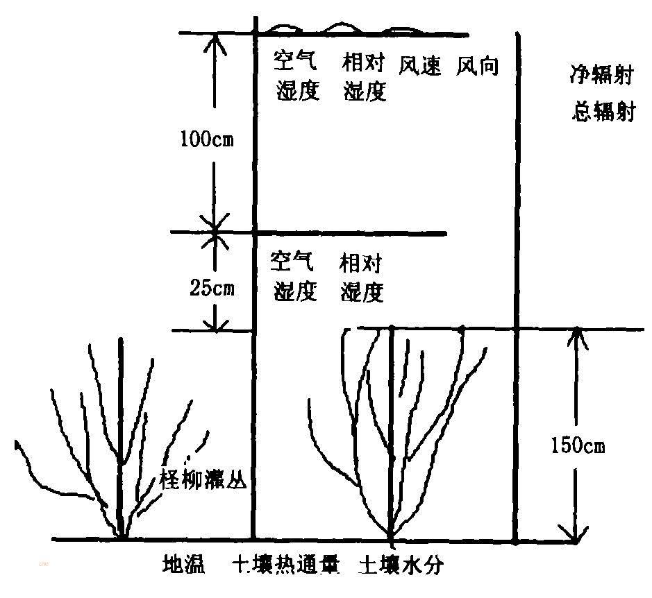 数据缩略图