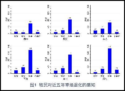 数据缩略图