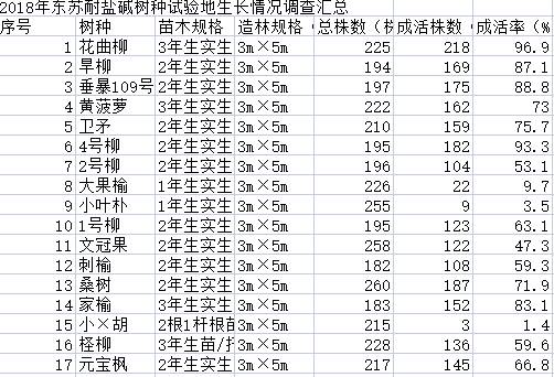 数据缩略图