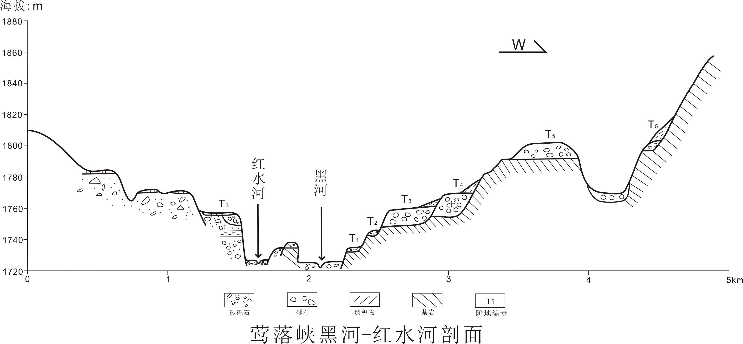 数据缩略图