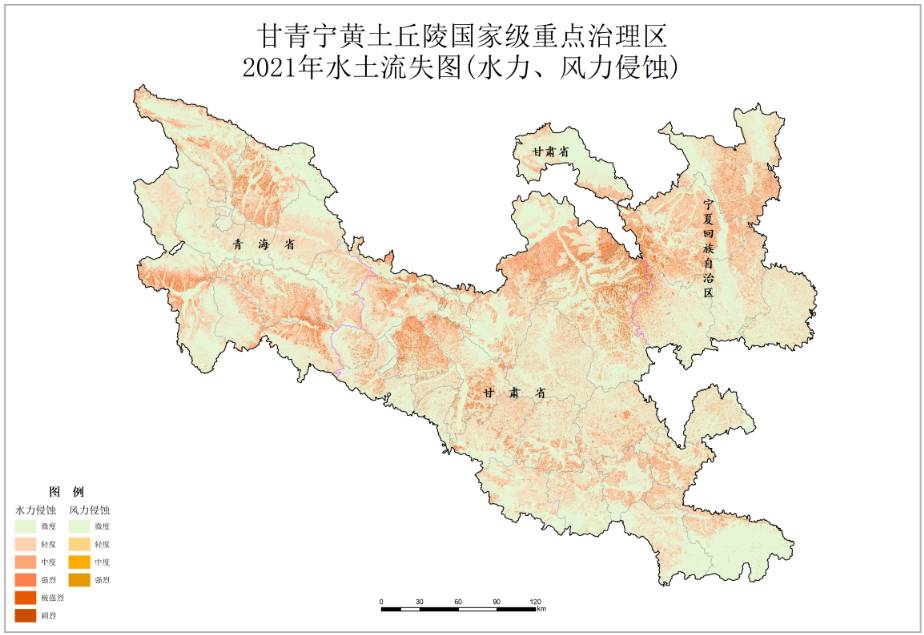 数据缩略图