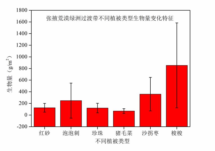 数据缩略图