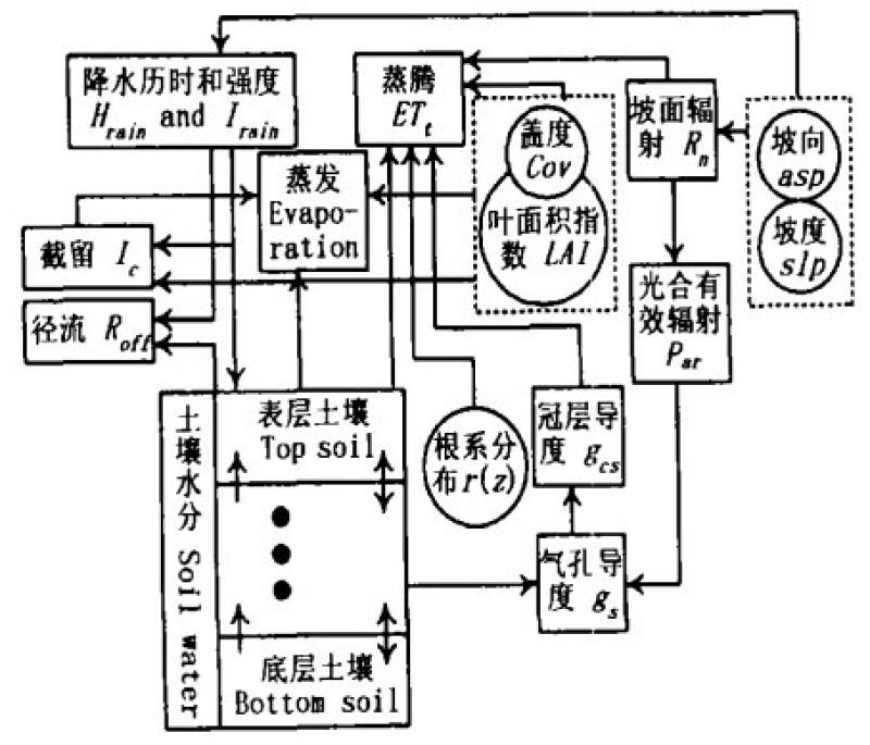 数据缩略图