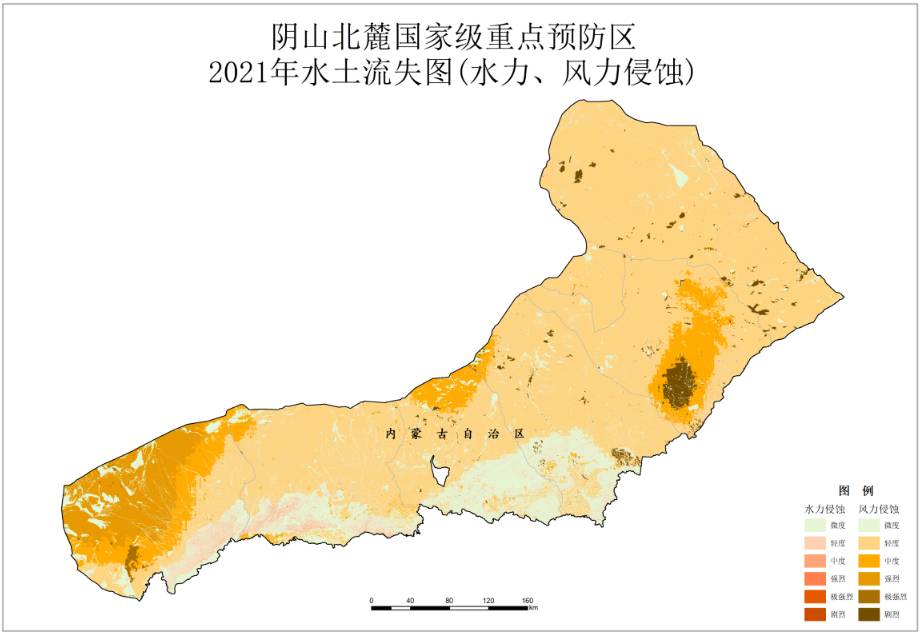 数据缩略图