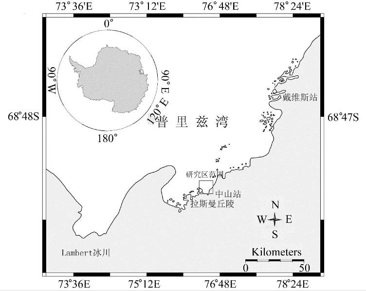 数据缩略图