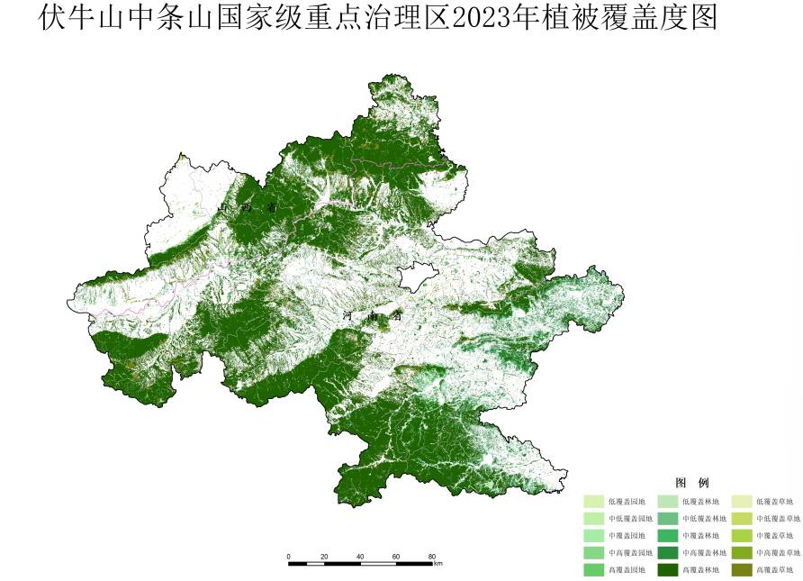 数据缩略图